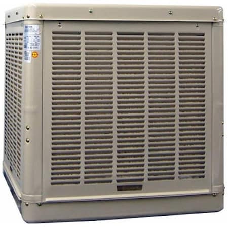 Champion Cooler Champion Cooler 3000 DD 3000 CFM Cabinet Cooler 112569